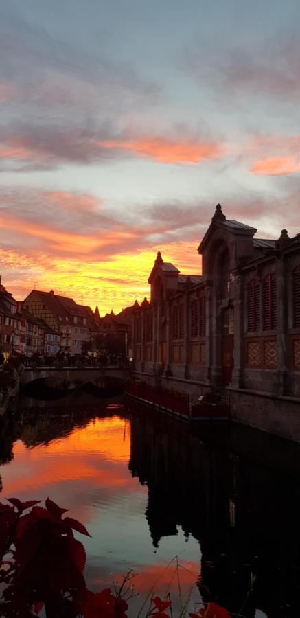 New ! Vue Petite Venise, Place To Be - Parking Colmar Bagian luar foto