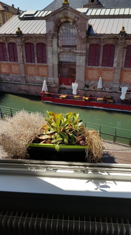 New ! Vue Petite Venise, Place To Be - Parking Colmar Bagian luar foto